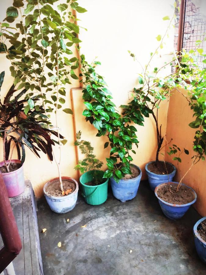 Family Guest House فاراناسي المظهر الخارجي الصورة