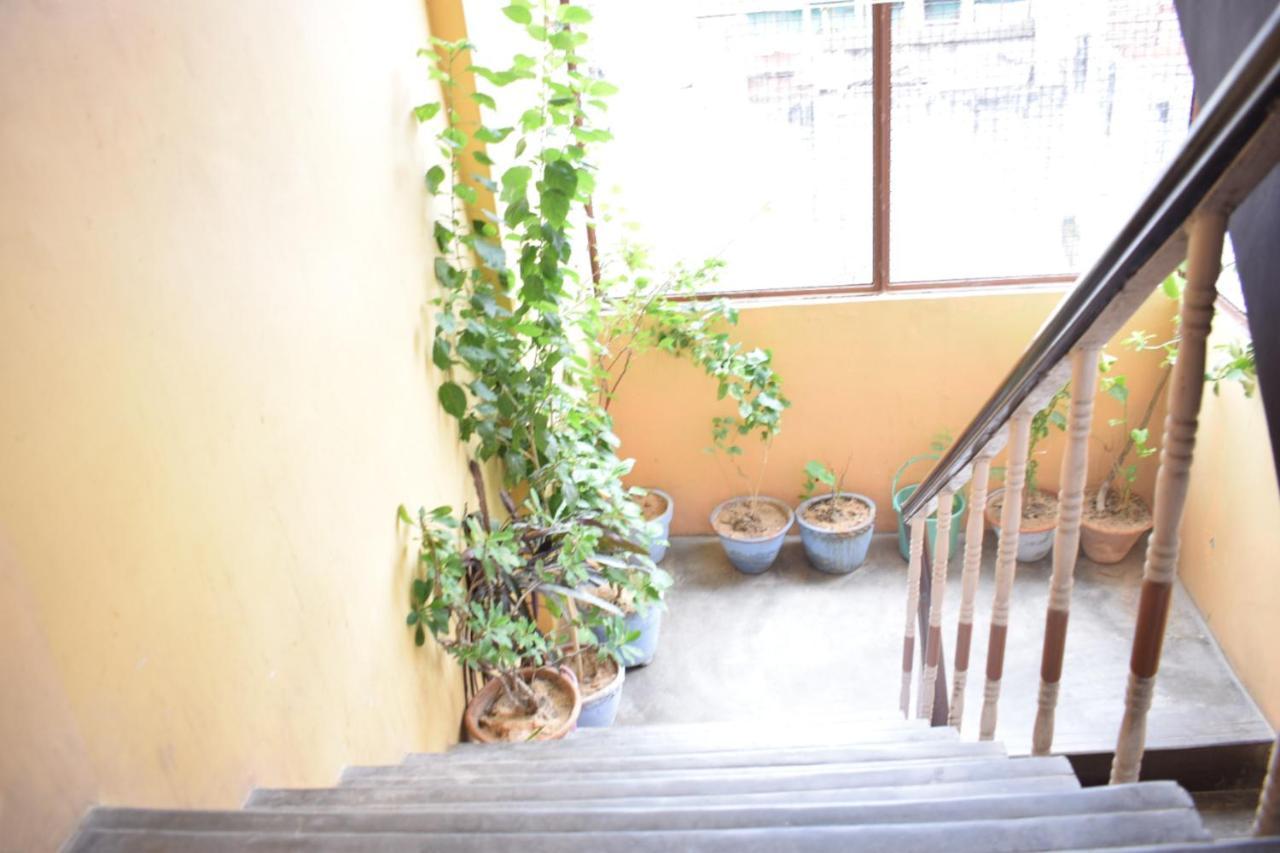 Family Guest House فاراناسي المظهر الخارجي الصورة